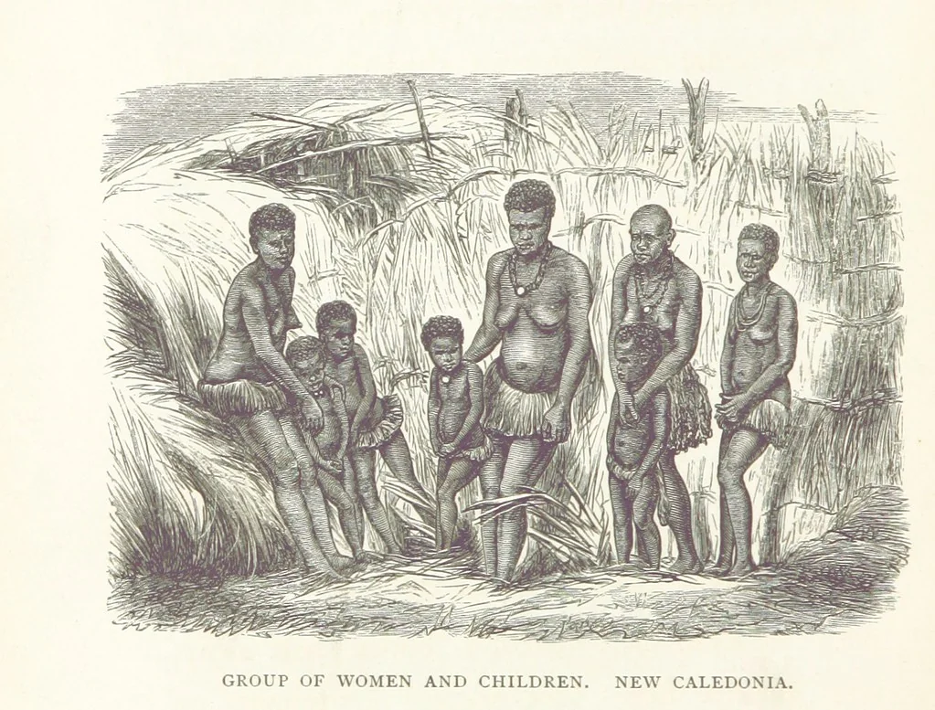 An illustration from The Cruise of the “Rosario” amongst the New Hebrides and Santa Cruz Islands. ... With map and illustrations, 1873, leaf 292