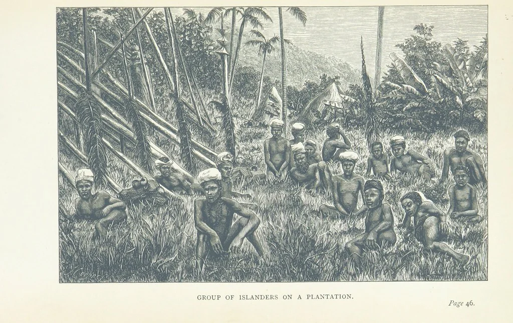 An illustration from The Cruise of the “Rosario” amongst the New Hebrides and Santa Cruz Islands. ... With map and illustrations, 1873, leaf 69