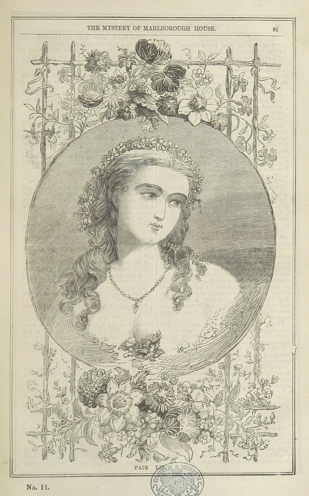 An illustration from The Mystery of Marlborough House. A tale of trial and temptation, 1866, leaf 89