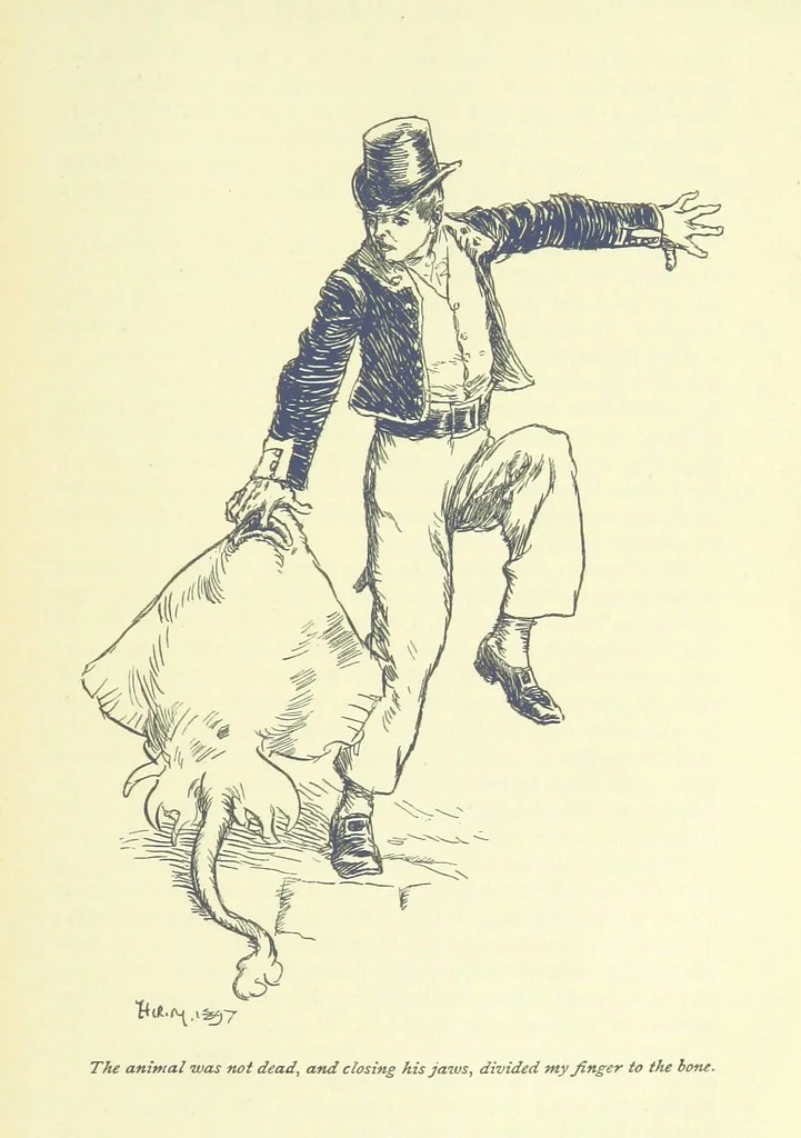 An illustration from Frank Mildmay ... Illustrated by H. R. Millar. With an introduction by David Hannay, 1897, leaf 87