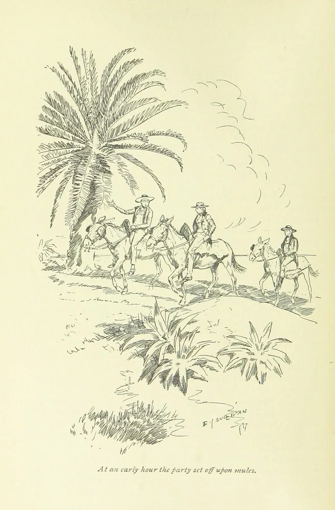 An illustration from Newton Forster ... With illustrations by E. J. Sullivan, and an introduction by David Hannay, 1897, leaf 126