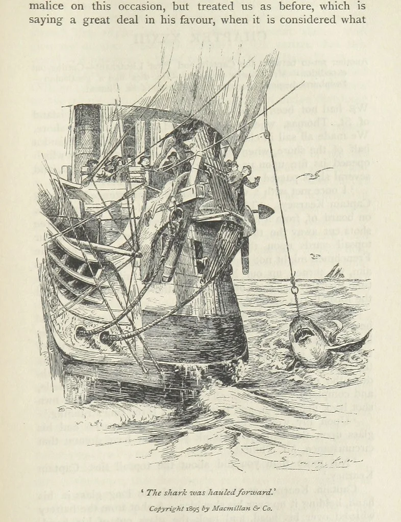An illustration from Peter Simple ... Illustrated by J. A. Symington, with an introduction by D. Hannay, 1895, leaf 299