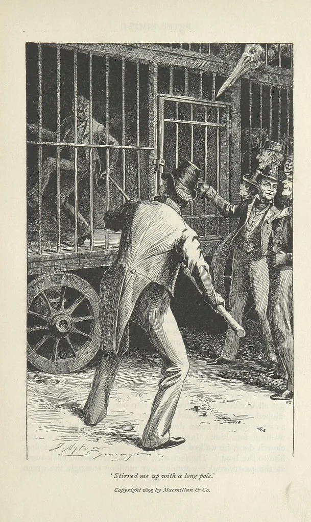 An illustration from Peter Simple ... Illustrated by J. A. Symington, with an introduction by D. Hannay, 1895, leaf 91