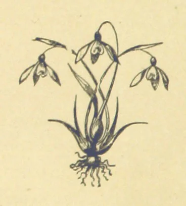 An illustration from Mrs. Haycock's Chronicles: a story of life-service, 1877, leaf 12