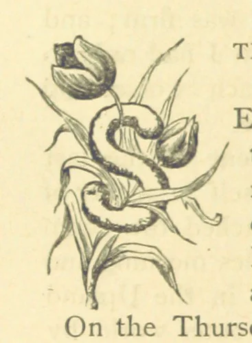 An illustration from Mrs. Haycock's Chronicles: a story of life-service, 1877, leaf 146