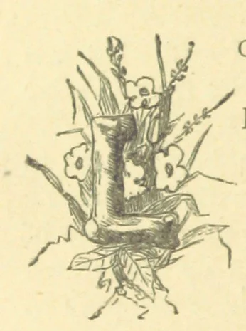 An illustration from Mrs. Haycock's Chronicles: a story of life-service, 1877, leaf 162
