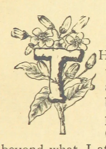 An illustration from Mrs. Haycock's Chronicles: a story of life-service, 1877, leaf 177