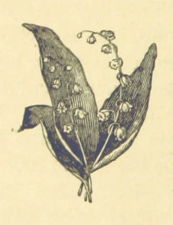 An illustration from Mrs. Haycock's Chronicles: a story of life-service, 1877, leaf 18