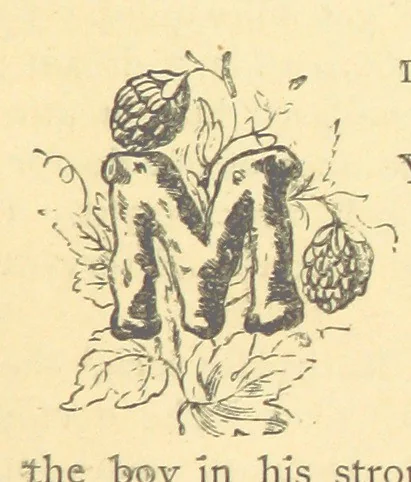 An illustration from Mrs. Haycock's Chronicles: a story of life-service, 1877, leaf 19