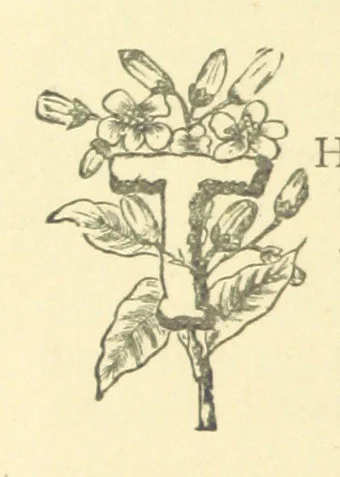 An illustration from Mrs. Haycock's Chronicles: a story of life-service, 1877, leaf 42