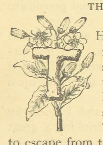 An illustration from Mrs. Haycock's Chronicles: a story of life-service, 1877, leaf 79