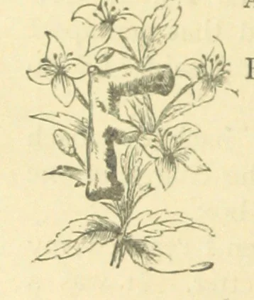 An illustration from Mrs. Haycock's Chronicles: a story of life-service, 1877, leaf 86