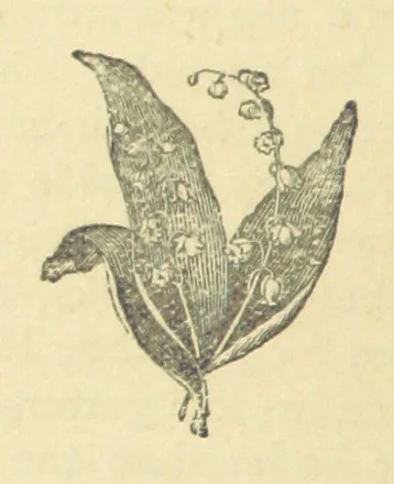 An illustration from Mrs. Haycock's Chronicles: a story of life-service, 1877, leaf 92
