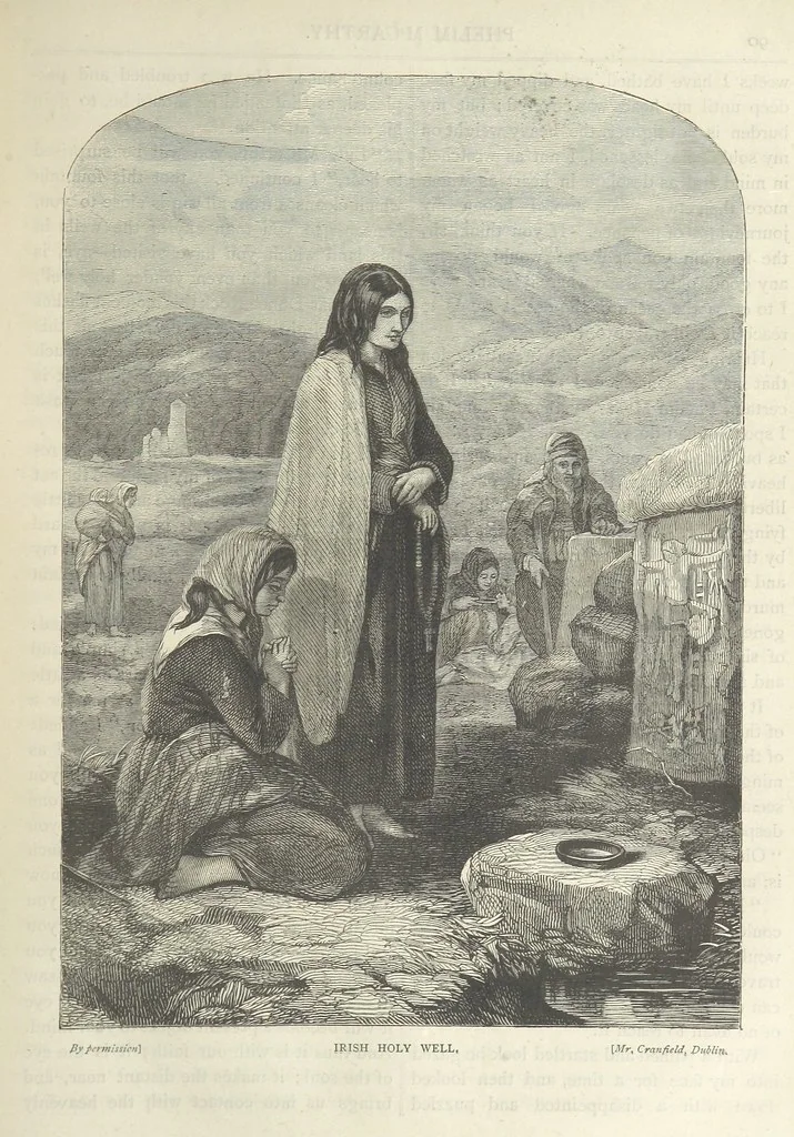 An illustration from Stories of Irish Life ... With illustrations, etc, 1878, leaf 101