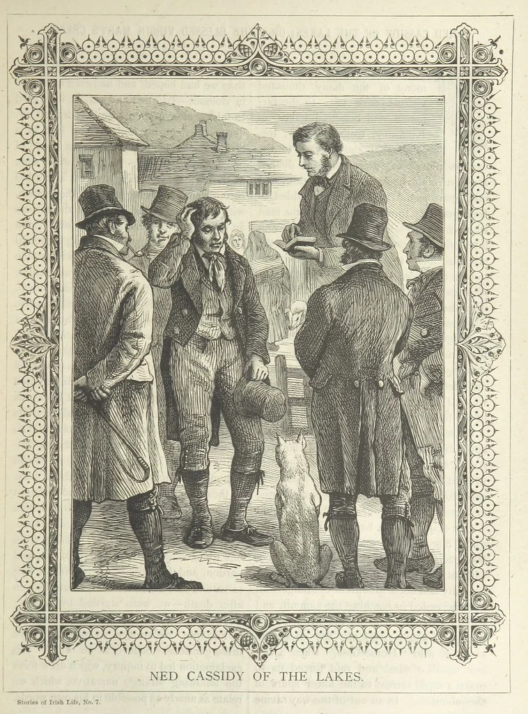 An illustration from Stories of Irish Life ... With illustrations, etc, 1878, leaf 109