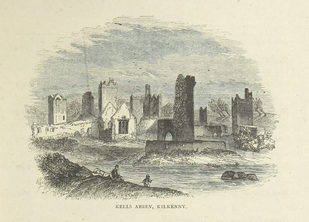 An illustration from Stories of Irish Life ... With illustrations, etc, 1878, leaf 11