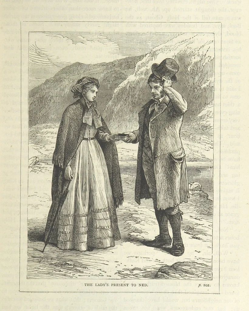 An illustration from Stories of Irish Life ... With illustrations, etc, 1878, leaf 117