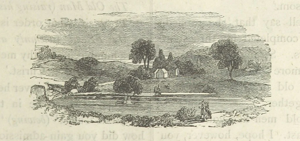 An illustration from Stories of Irish Life ... With illustrations, etc, 1878, leaf 119