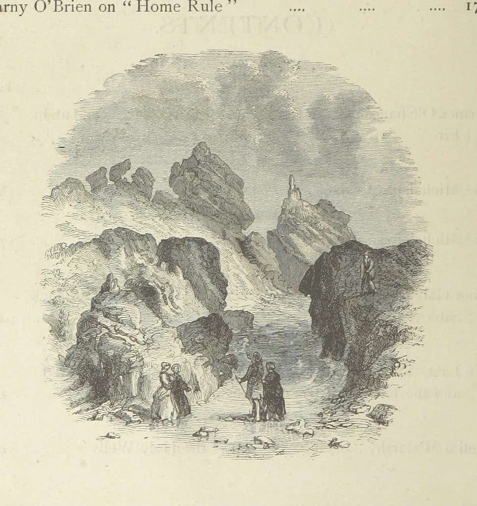 An illustration from Stories of Irish Life ... With illustrations, etc, 1878, leaf 12