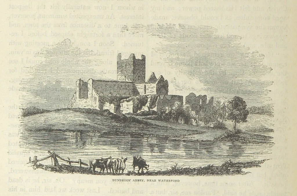 An illustration from Stories of Irish Life ... With illustrations, etc, 1878, leaf 124