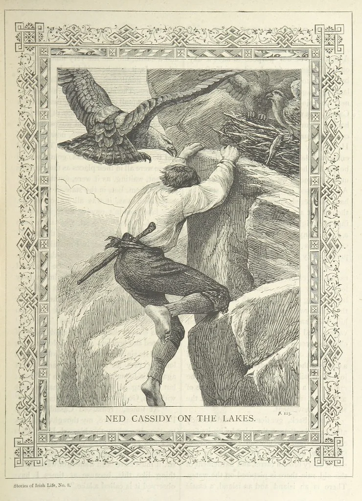 An illustration from Stories of Irish Life ... With illustrations, etc, 1878, leaf 125