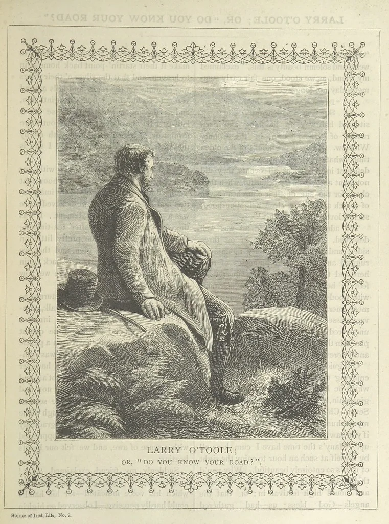 An illustration from Stories of Irish Life ... With illustrations, etc, 1878, leaf 141