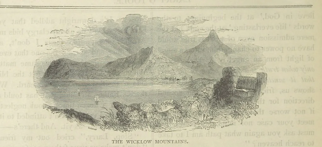 An illustration from Stories of Irish Life ... With illustrations, etc, 1878, leaf 152