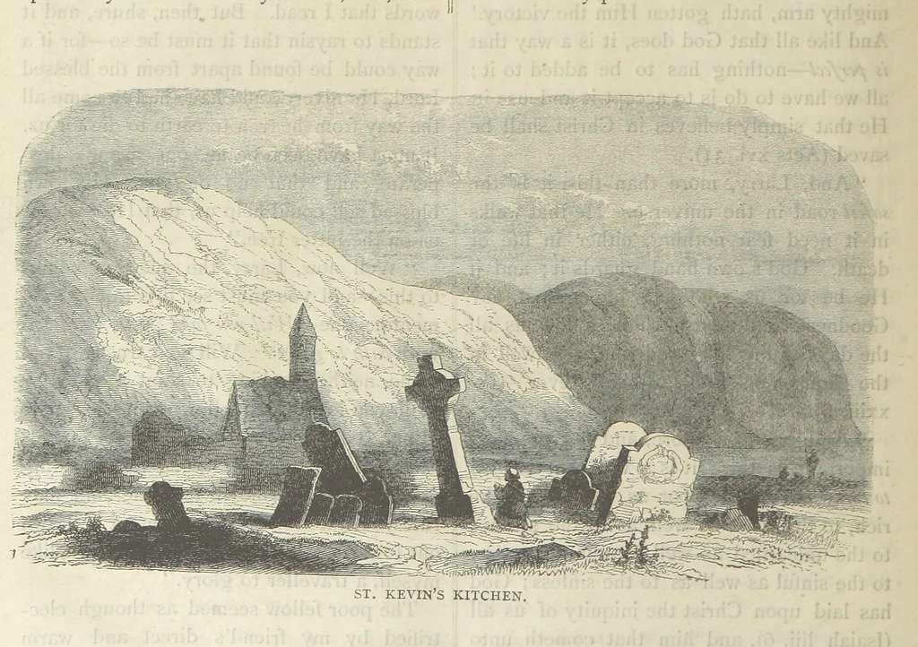 An illustration from Stories of Irish Life ... With illustrations, etc, 1878, leaf 156