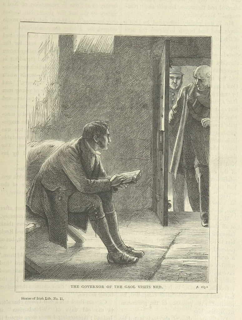 An illustration from Stories of Irish Life ... With illustrations, etc, 1878, leaf 173