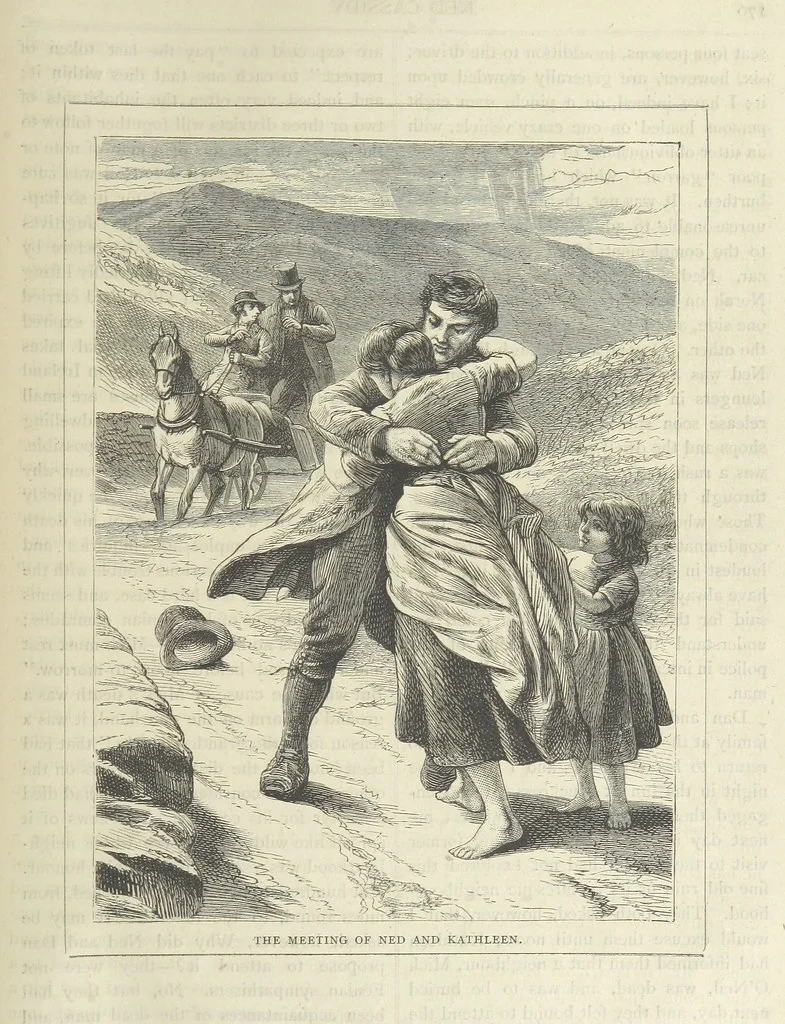 An illustration from Stories of Irish Life ... With illustrations, etc, 1878, leaf 181