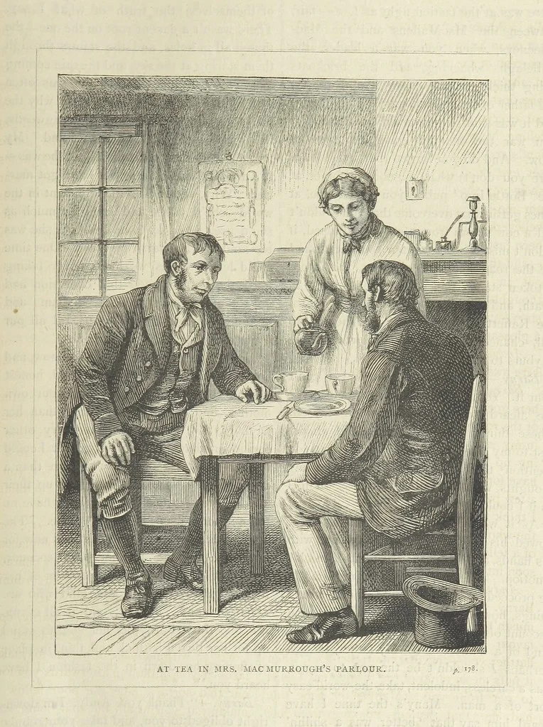 An illustration from Stories of Irish Life ... With illustrations, etc, 1878, leaf 193