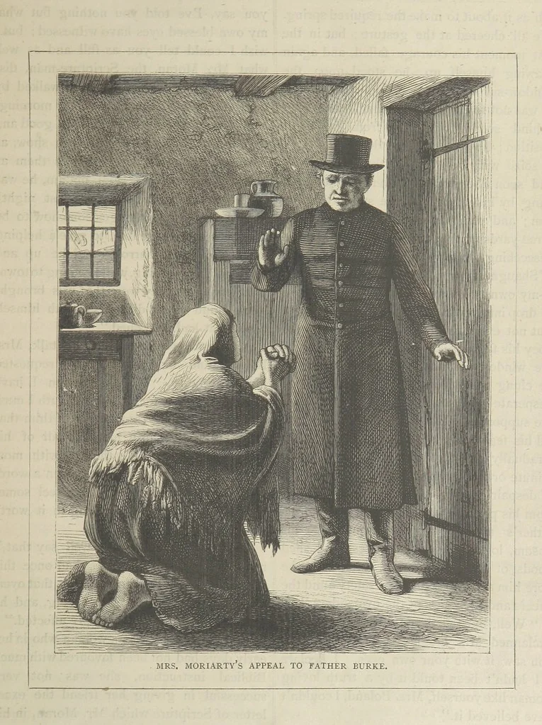 An illustration from Stories of Irish Life ... With illustrations, etc, 1878, leaf 21