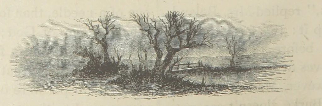 An illustration from Stories of Irish Life ... With illustrations, etc, 1878, leaf 28