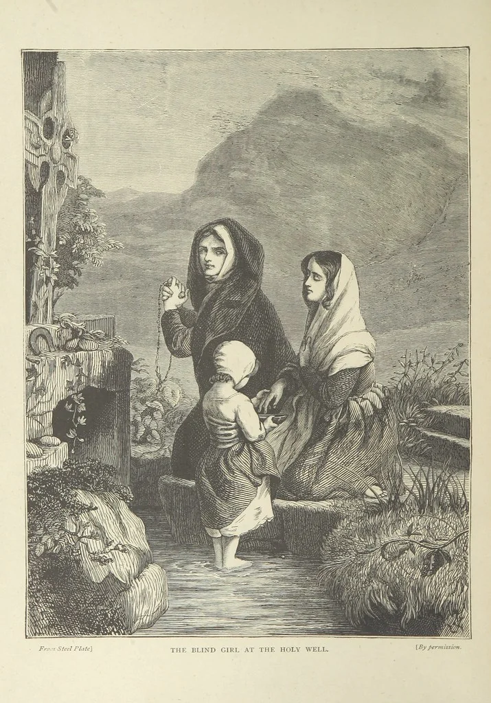 An illustration from Stories of Irish Life ... With illustrations, etc, 1878, leaf 6