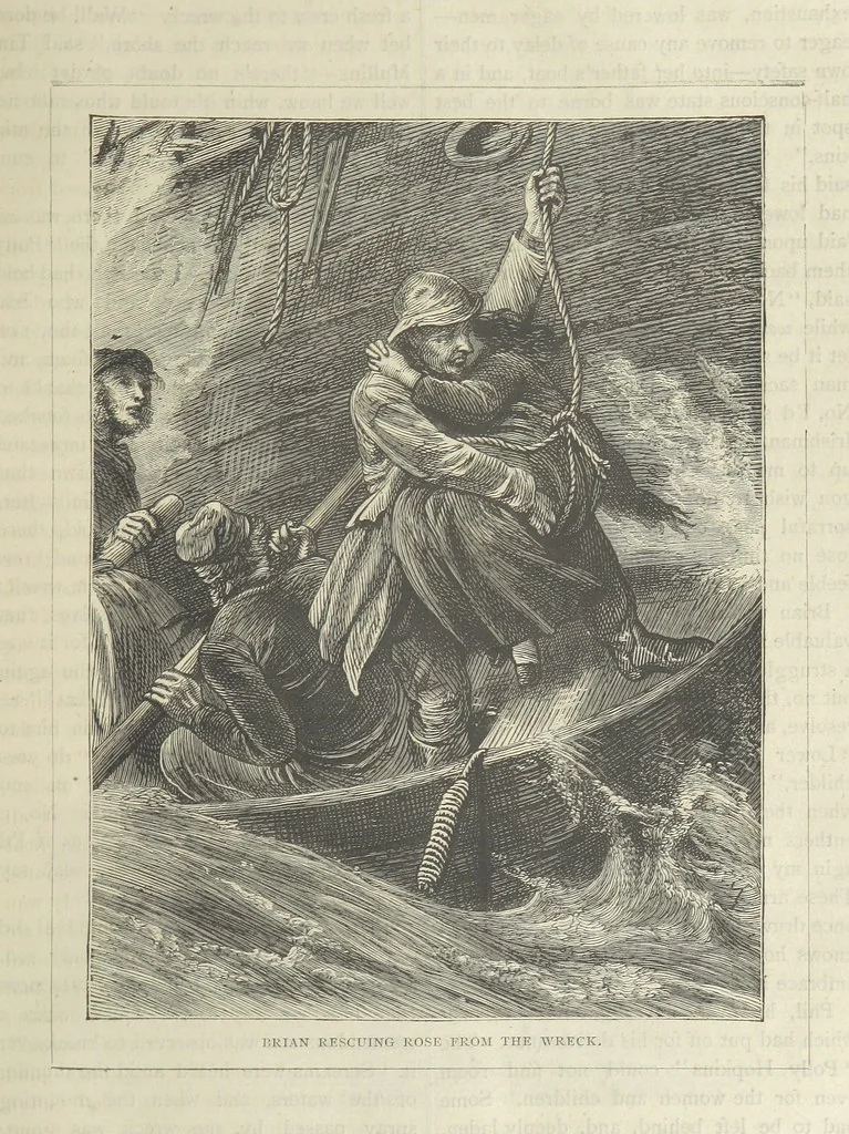 An illustration from Stories of Irish Life ... With illustrations, etc, 1878, leaf 69