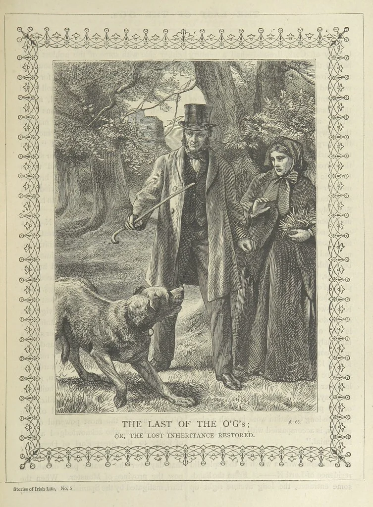 An illustration from Stories of Irish Life ... With illustrations, etc, 1878, leaf 77