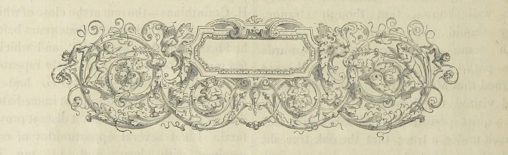 An illustration from Stories of Irish Life ... With illustrations, etc, 1878, leaf 88