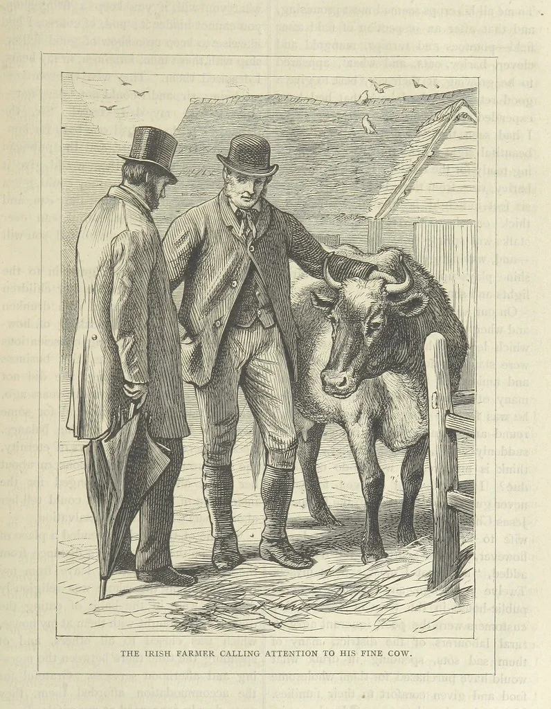 An illustration from Stories of Irish Life ... With illustrations, etc, 1878, leaf 89