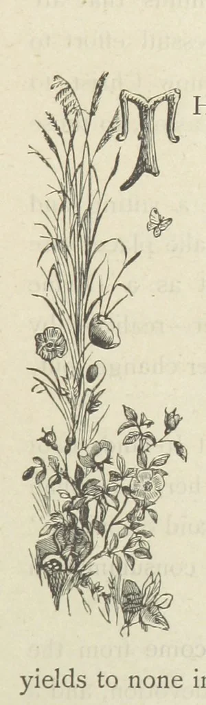 An illustration from Stories of Irish Life ... With illustrations, etc, 1878, leaf 9