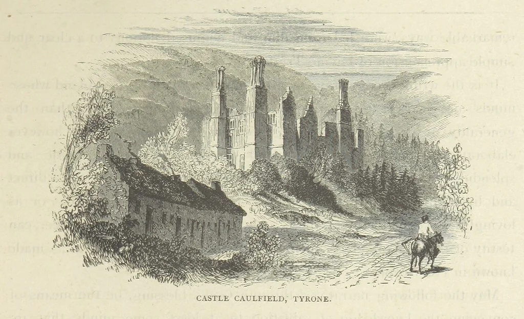 An illustration from Stories of Irish Life ... With illustrations, etc, 1878, leaf 9