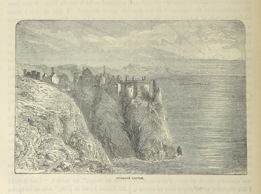 An illustration from Stories of Irish Life ... With illustrations, etc, 1878, leaf 92