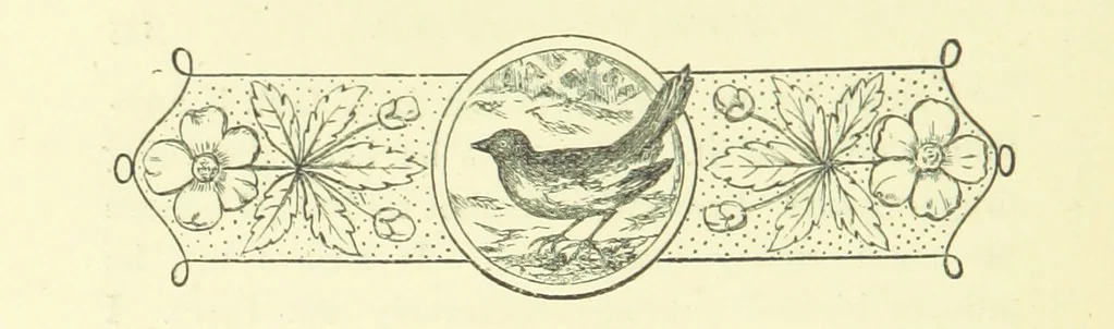 An illustration from Guide, Philosopher, and Friend. [A novel, 1884, leaf 150