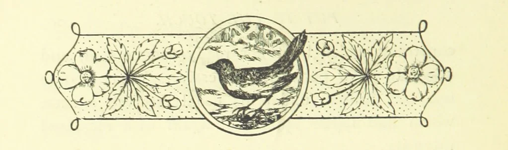 An illustration from Guide, Philosopher, and Friend. [A novel, 1884, leaf 210