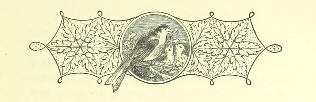 An illustration from Guide, Philosopher, and Friend. [A novel, 1884, leaf 231