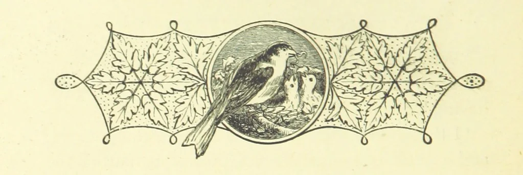 An illustration from Guide, Philosopher, and Friend. [A novel, 1884, leaf 350