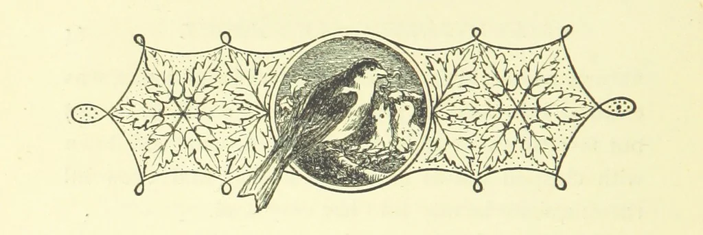 An illustration from Guide, Philosopher, and Friend. [A novel, 1884, leaf 40