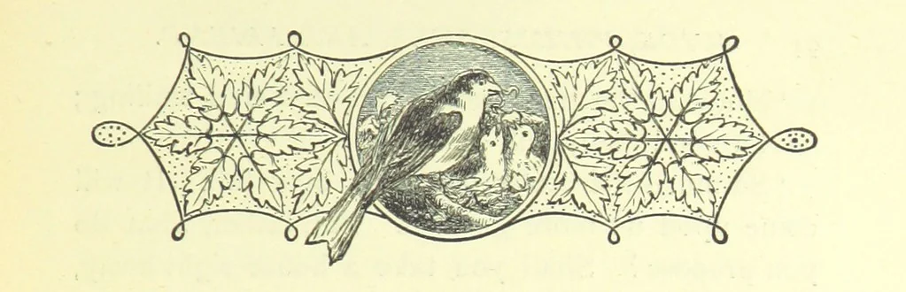 An illustration from Guide, Philosopher, and Friend. [A novel, 1884, leaf 97