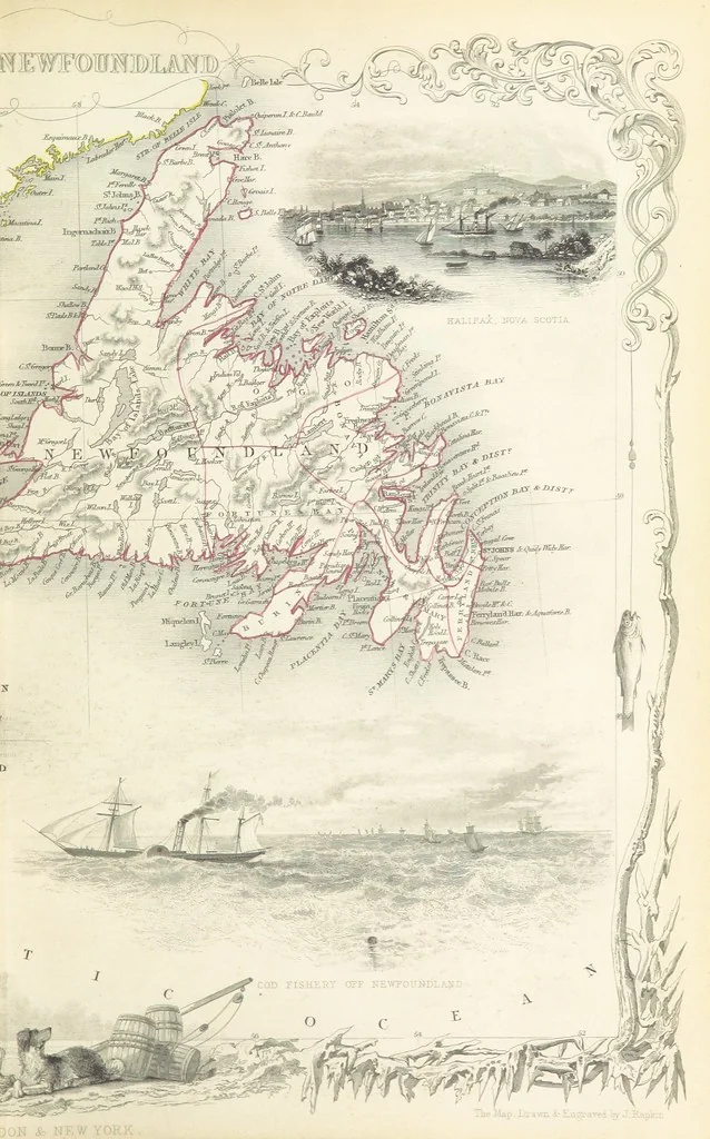 An illustration from The British Colonies; their history, extent, condition, and resources, 1851, leaf 259