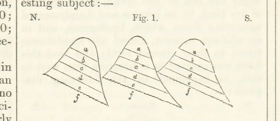 An illustration from The British Colonies; their history, extent, condition, and resources, 1851, leaf 869