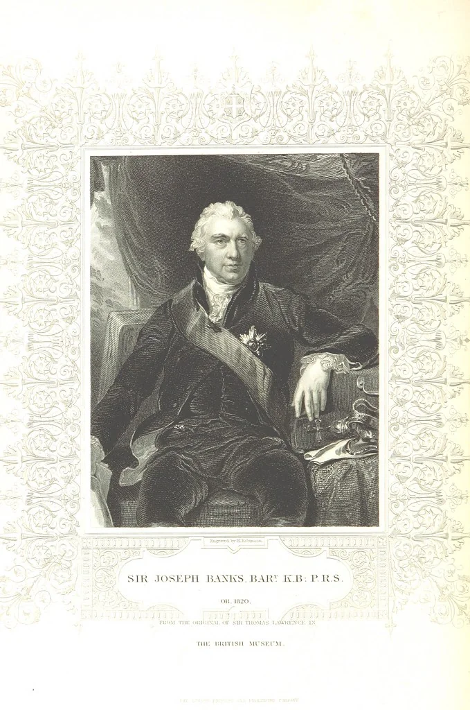 An illustration from The British Colonies; their history, extent, condition, and resources, 1851, leaf 150